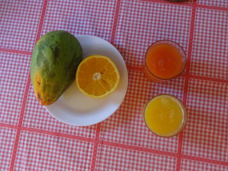 Freshly Squeezed Fruit Juices